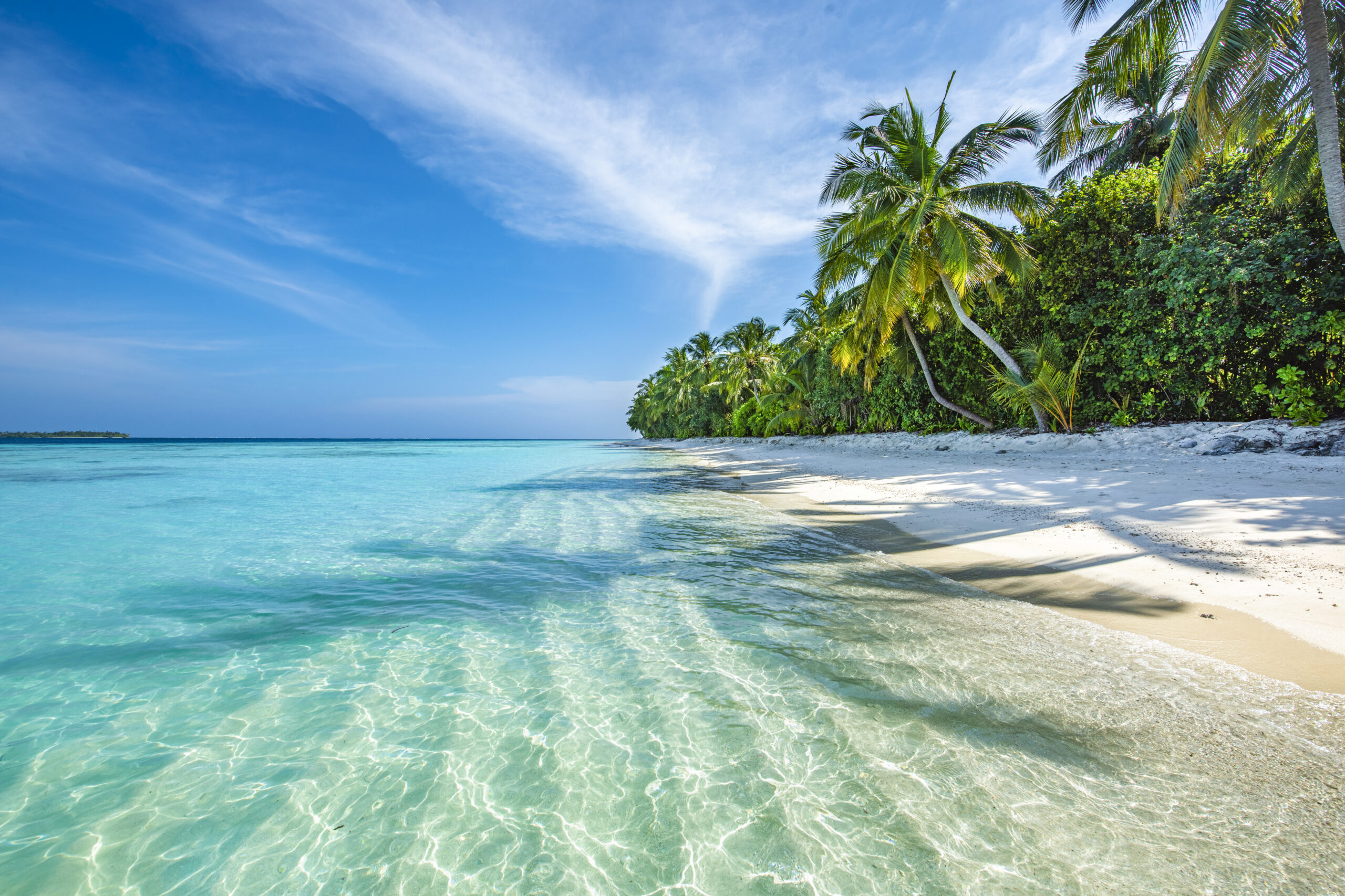 Happiness begins at sea Happiness begins at sea